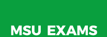 msu exams